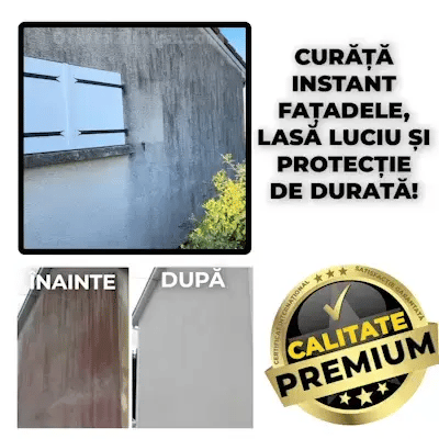 SOLUȚIE PROFESIONALĂ-FațadăClean™